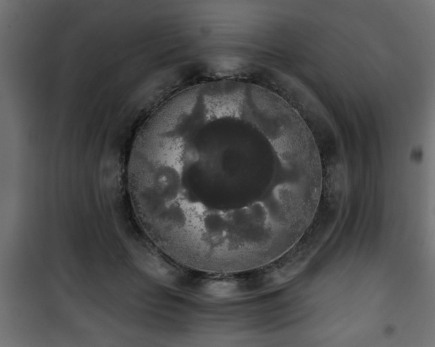 X0000101390653200807141134