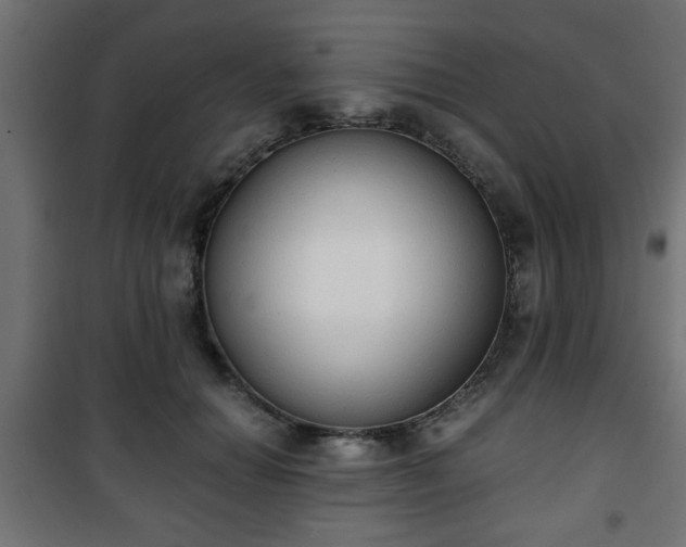 X0000101390654200807141134