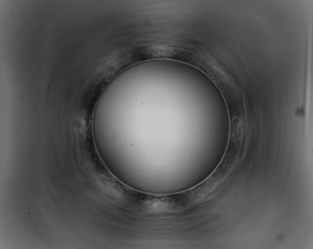 X0000101390655200807141134