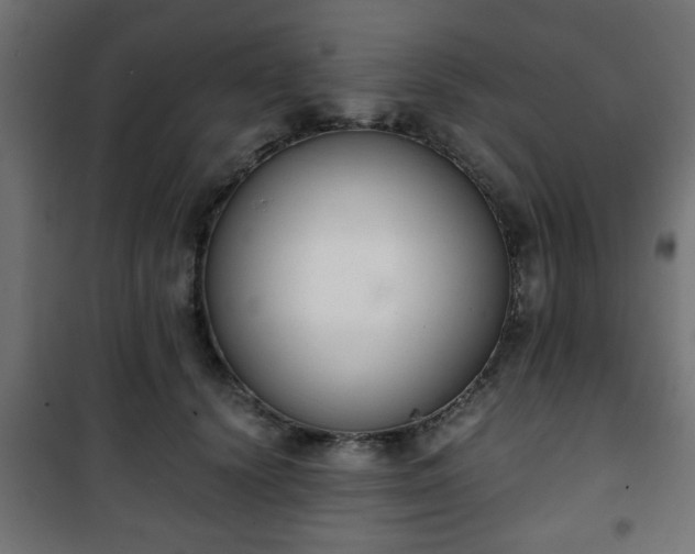 X0000101390656200807141134