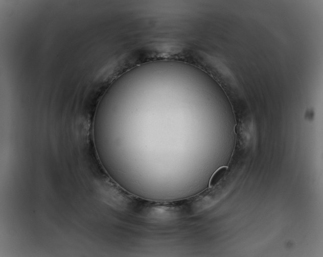 X0000101390657200807141134