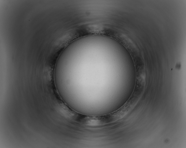 X0000101390658200807141134