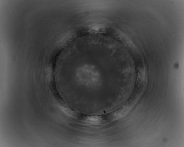 X0000101390659200807141134