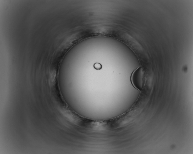 X0000101390660200807141134