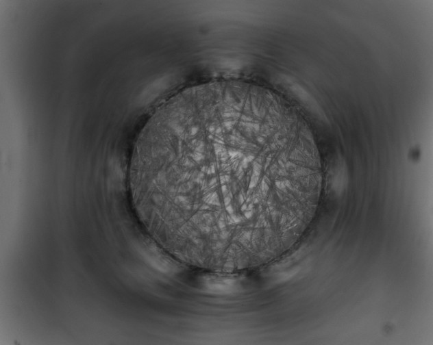 X0000101390661200807141134