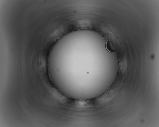 X0000101390662200807141134