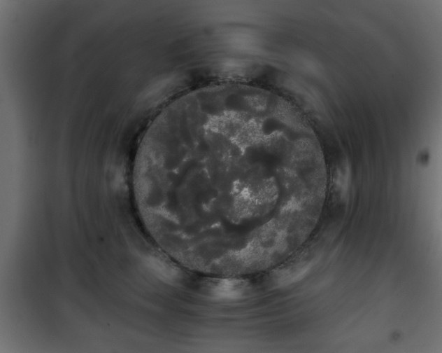 X0000101390663200807141134