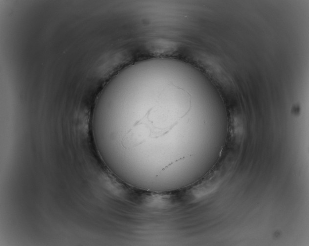 X0000101390664200807141134