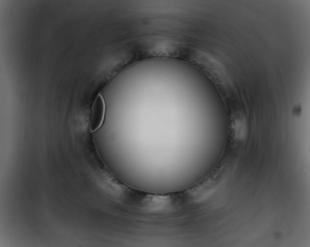 X0000101390665200807141134