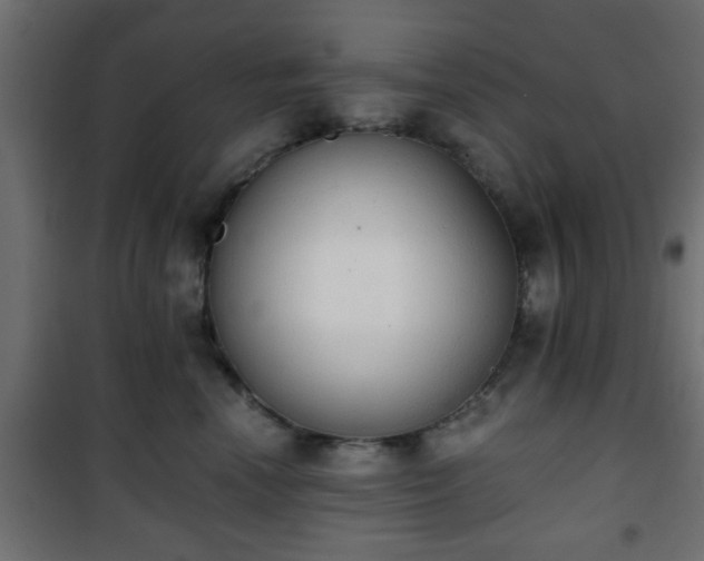 X0000101390666200807141134