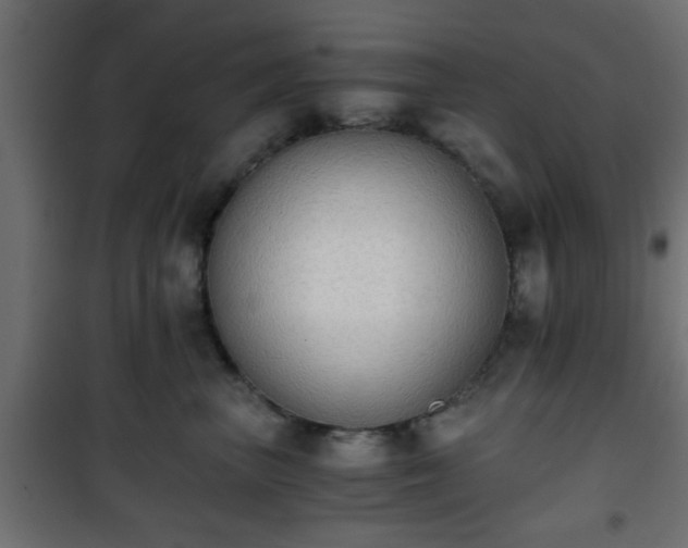 X0000101390667200807141134