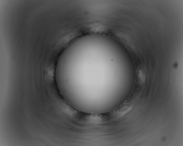 X0000101390668200807141134