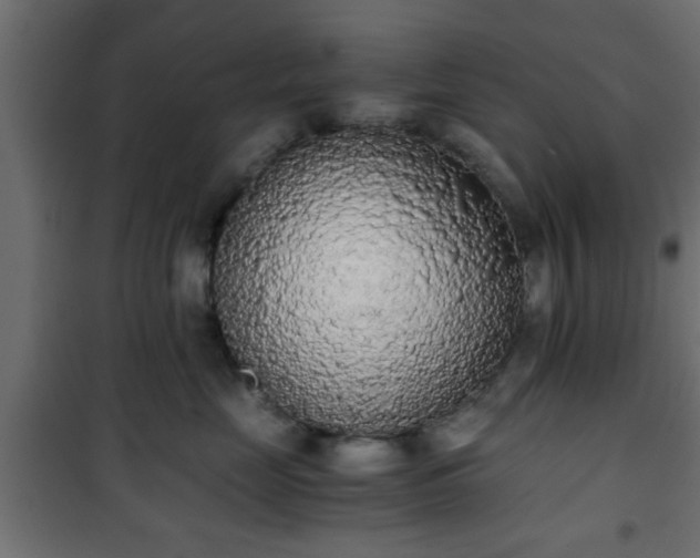 X0000101390669200807141134