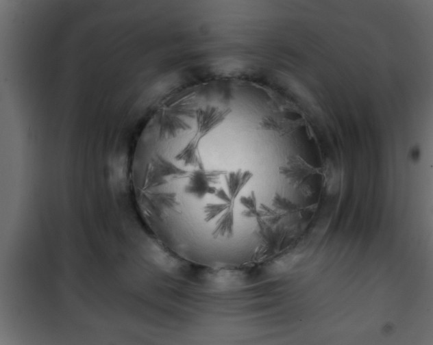 X0000101390670200807141134