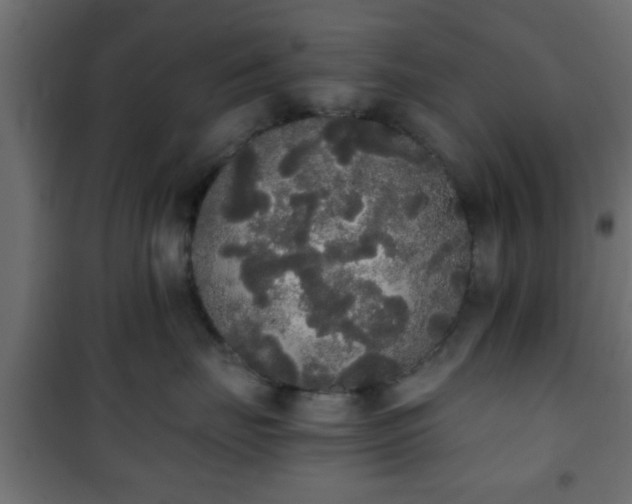 X0000101390671200807141134