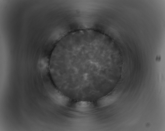 X0000101390672200807141134