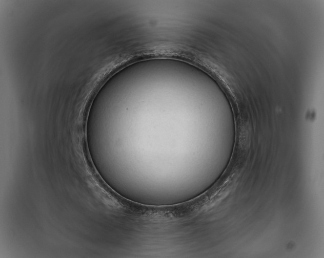 X0000101390673200807141133