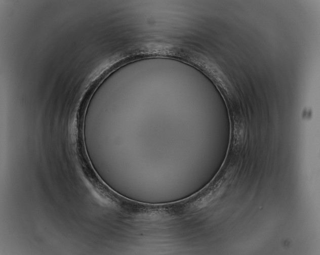 X0000101390674200807141133