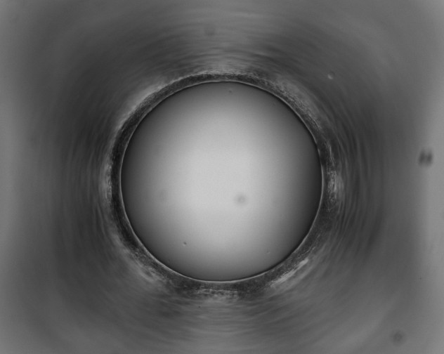 X0000101390676200807141133