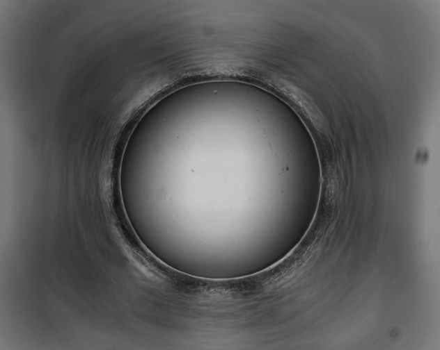 X0000101390677200807141133