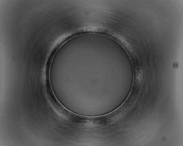 X0000101390678200807141133