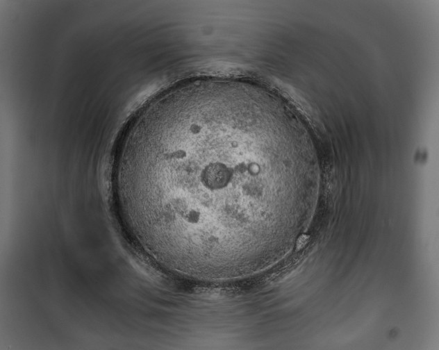 X0000101390679200807141133