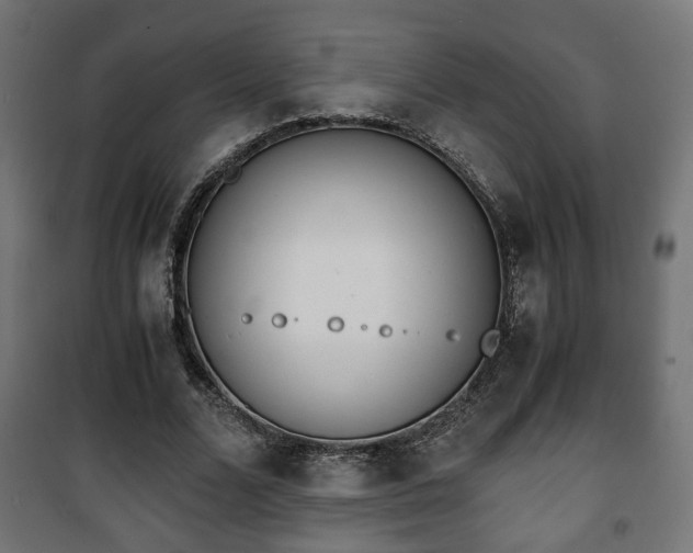 X0000101390680200807141133