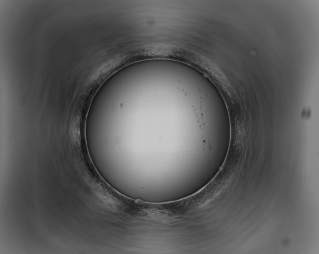 X0000101390681200807141133