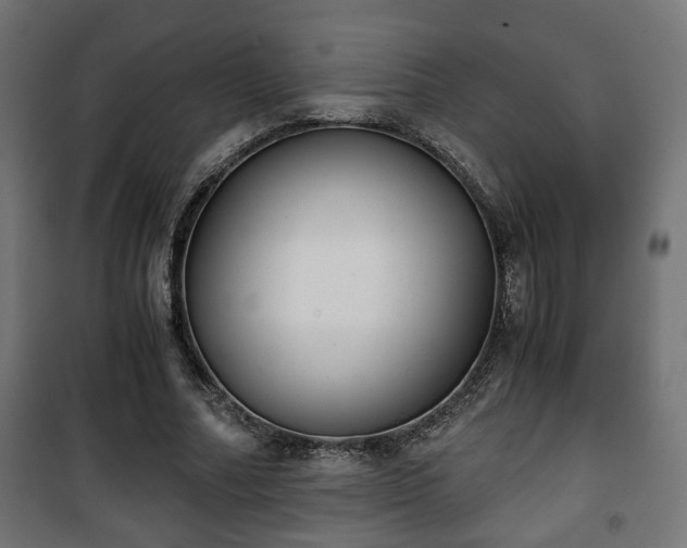 X0000101390682200807141133