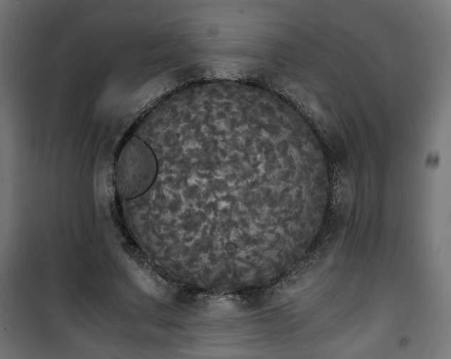 X0000101390683200807141133