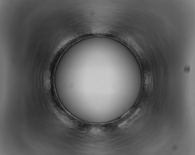 X0000101390684200807141133