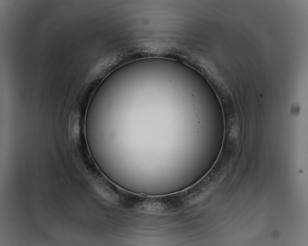 X0000101390685200807141133