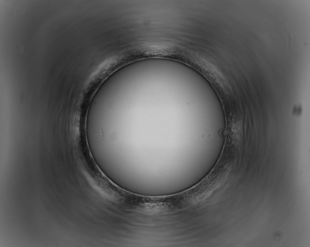 X0000101390686200807141133