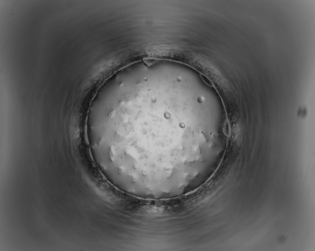 X0000101390687200807141133