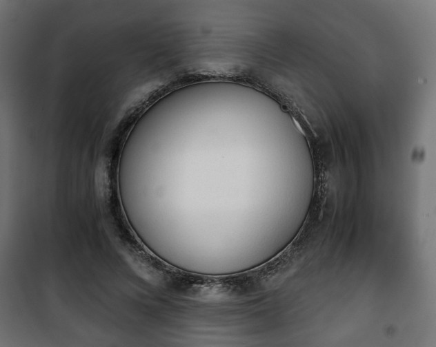 X0000101390688200807141133