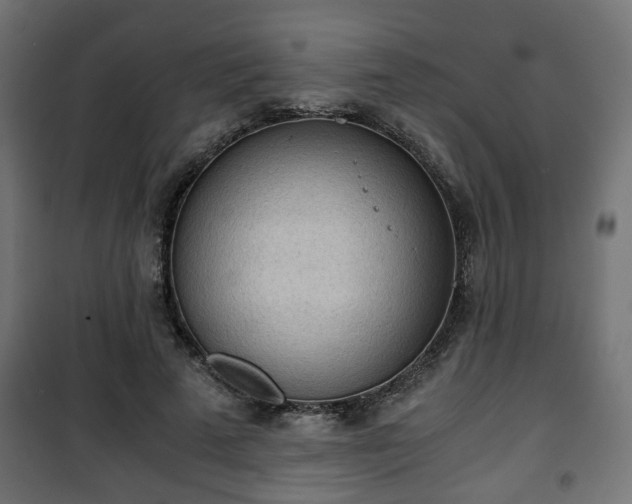 X0000101390689200807141133