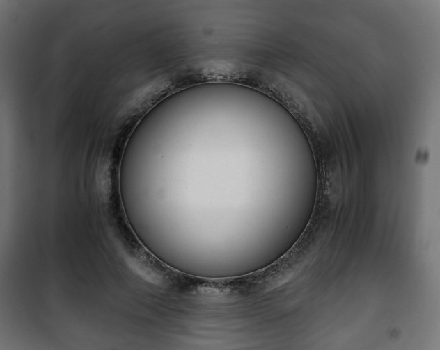 X0000101390690200807141133