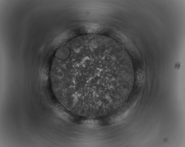 X0000101390691200807141133