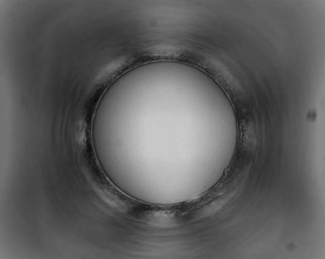 X0000101390692200807141133