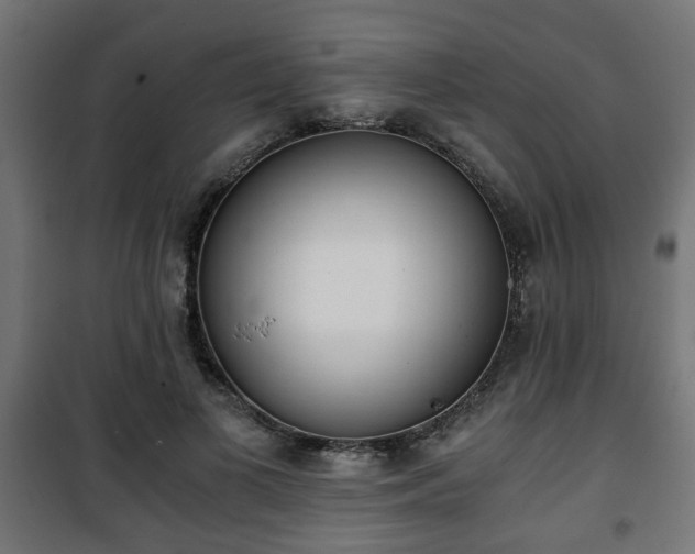 X0000101390693200807141133