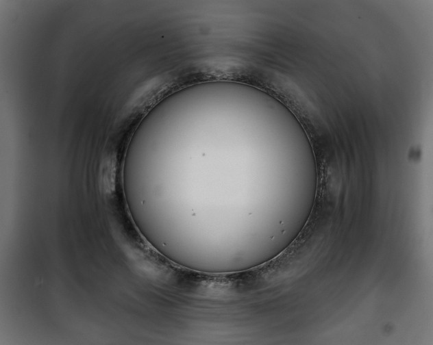 X0000101390694200807141133