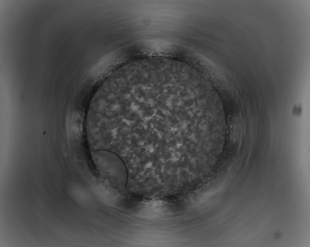 X0000101390695200807141133