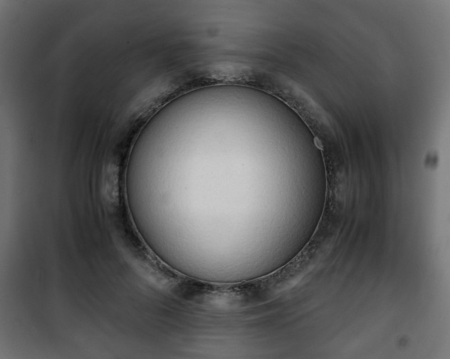 X0000101390696200807141133