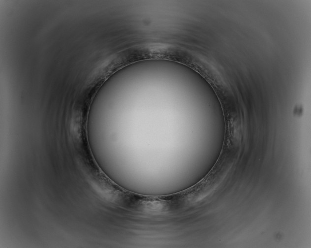 X0000101390698200807141133