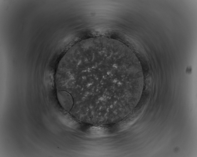 X0000101390699200807141133