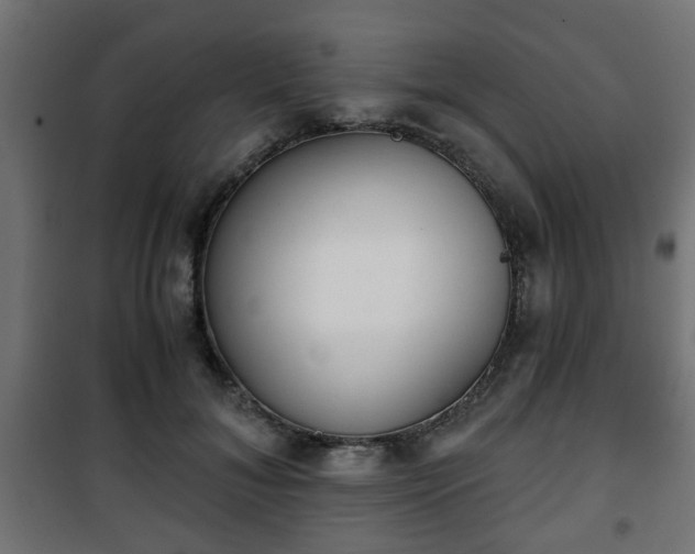 X0000101390700200807141133