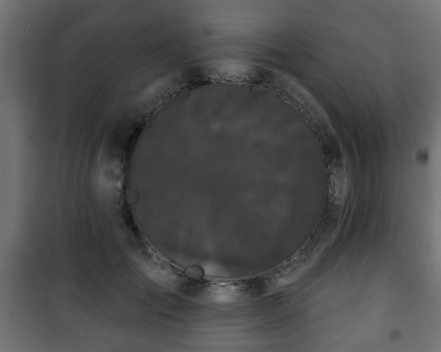 X0000101390701200807141133