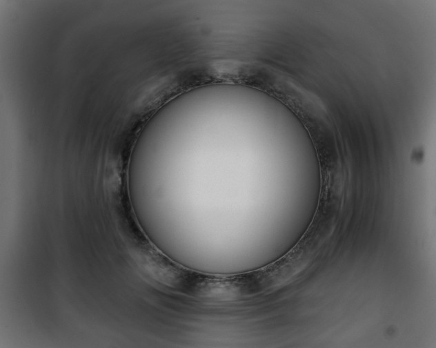 X0000101390702200807141133