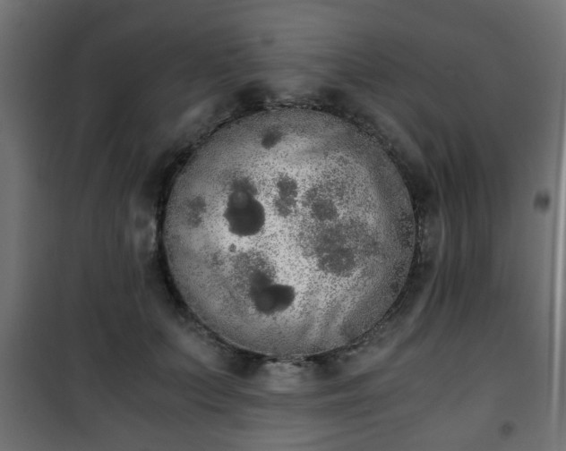 X0000101390703200807141133