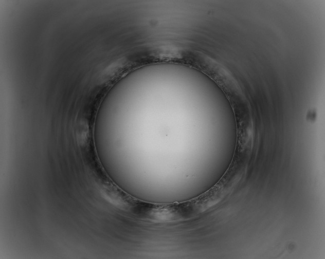 X0000101390704200807141133